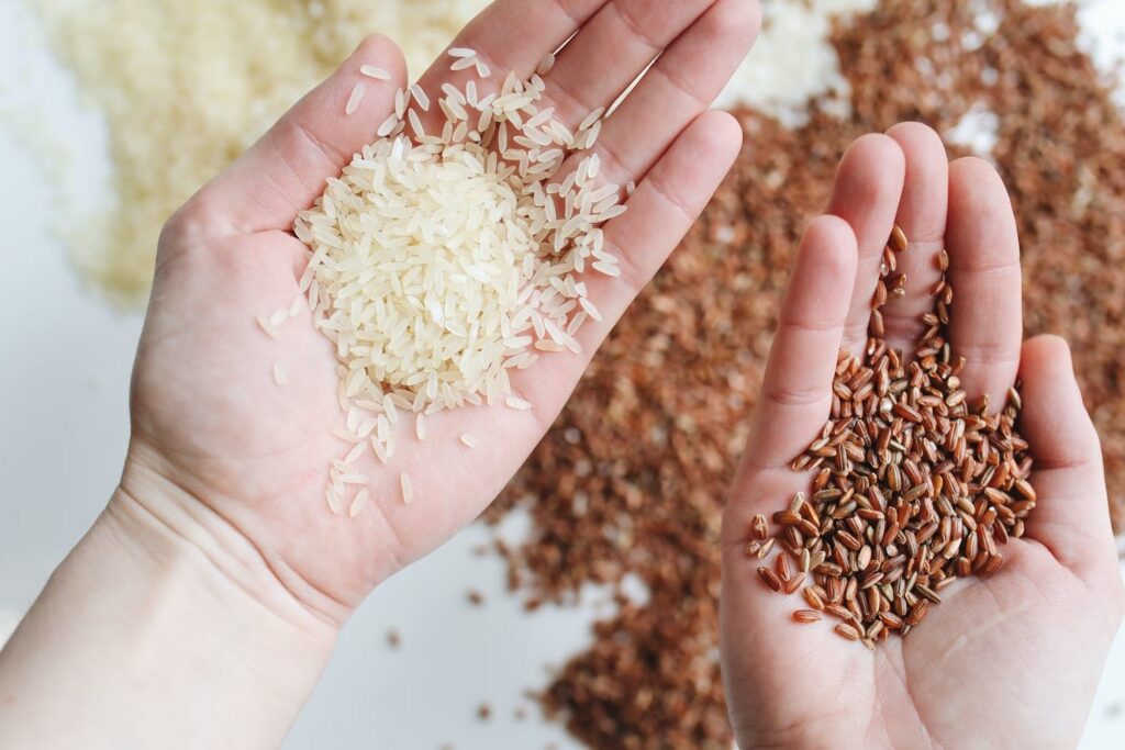 white rice vs brown rice